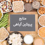 منابع پروتئین گیاهی