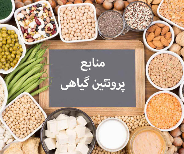 منابع پروتئین گیاهی